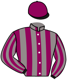 Casaque de UN CHIC CHEVAL