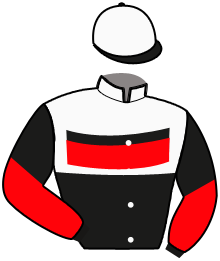 Casaque de NOT A BAD DEAL