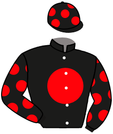 Casaque de THE PRINCE