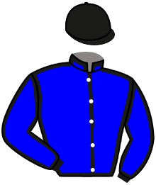 Casaque de ANNIE'S SONG