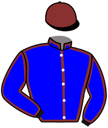 Casaque de CARTIMANDUA