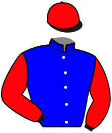 Casaque de NIKKEI PONT ROYAL