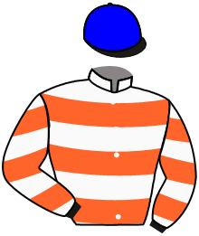 Casaque de DIVIDE AND RULE