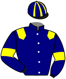 Casaque de MAESTRO JASMA