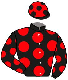 Casaque de LINO DU POMMEREUX