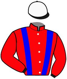 Casaque de HOWINGS ELLY