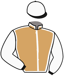 Casaque de KATANA DES ROCS