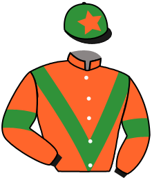 Casaque de LADY'ARMOR