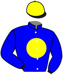 Casaque de DISILLUSION