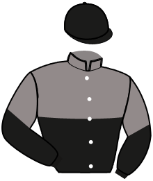 Casaque de LIGHTNING STRIDE