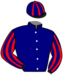 Casaque de HOLD UP DU DIGEON