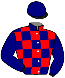 Casaque de MEGA HORSE