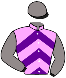 Casaque de ROYAL ENCLOSURE