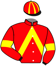 Casaque de JASPE DU DOLLAR