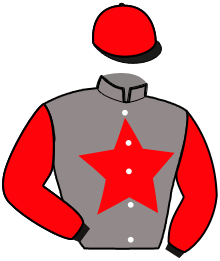 Casaque de HUDSON BAIE