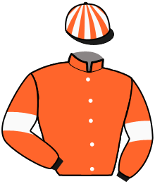 Casaque de INSTIGATEUR