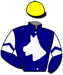 Casaque de BRAVEHEART