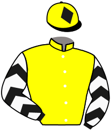 Casaque de JINGLE ON THE ROCK