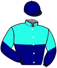 Casaque de COMPETIVO