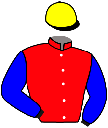 Casaque de KLITCHKO DE BELAIR