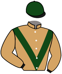 Casaque de NON STOP FOREZ