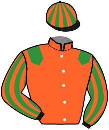 Casaque de JUAN LES PINS