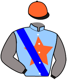 Casaque de MAINE COON