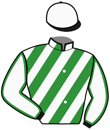 Casaque de HARMONICA