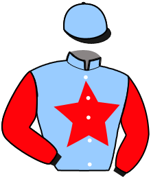 Casaque de NESMILLE ELEVEN