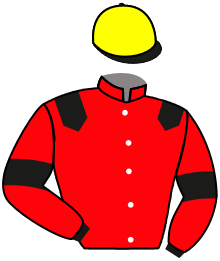 Casaque de HERMES INVICTA