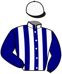 Casaque de HIGUAIN DE LOU