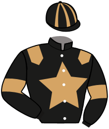 Casaque de JULY DU GUESNE