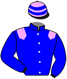 Casaque de LE WINNER AS