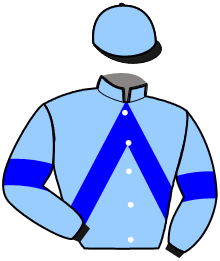 Casaque de JABOROSA BLUE