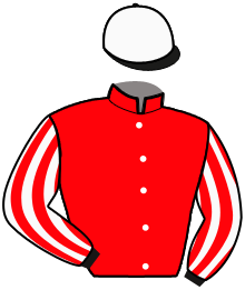 Casaque de WE'LL DEFEND