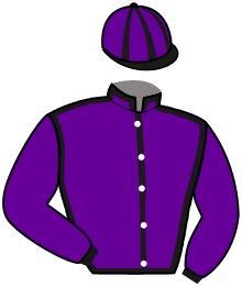 Casaque de FLASH DU BIWETZ