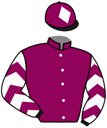 Casaque de MORNING SPIRIT