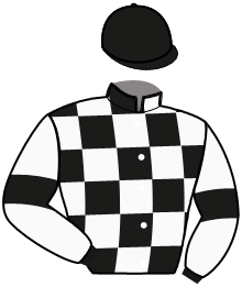 Casaque de NEW SUCCESS