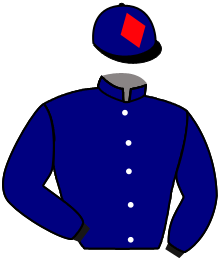 Casaque de DARBY O'GILL