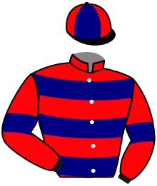 Casaque de SAINT ROBIN