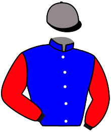 Casaque de LANDE D'OUDAIRIES