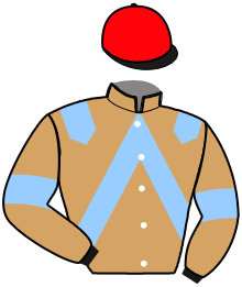 Casaque de MAMBO FIVE OKINA