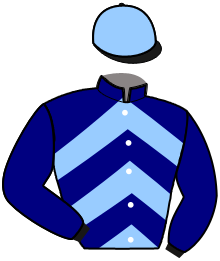 Casaque de LADY DE GUEHAM