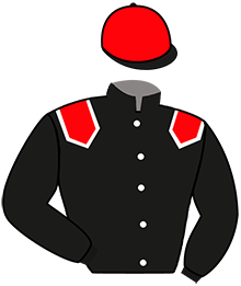 Casaque de MISTRAL D'HERMES