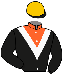 Casaque de LA CARRIERE