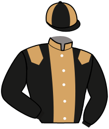 Casaque de LIPTON TONIC