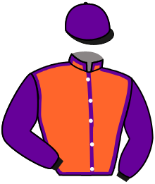 Casaque de L'ARLEQUIN