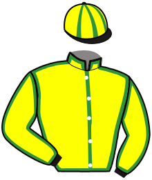 Casaque de LADY DU CEDRE