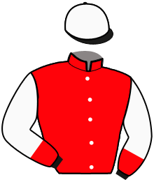 Casaque de KISS WOOD