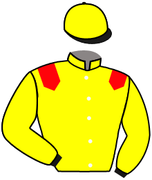 Casaque de QUEEN'S ANGEL